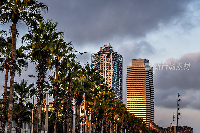 Buildings Around Port Olímpic In Barcelona, Spain